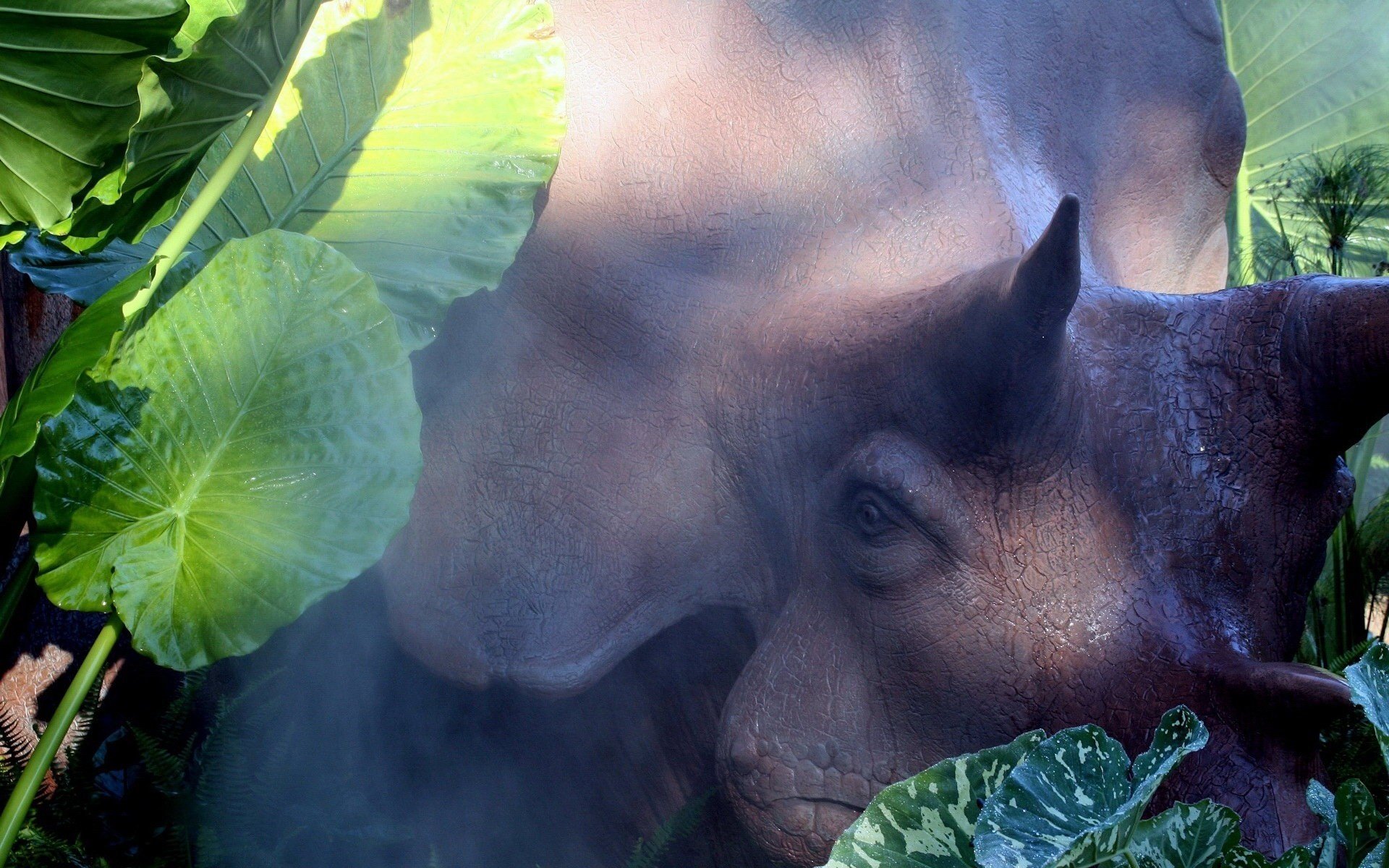 animal grandes tailles feuilles vertes