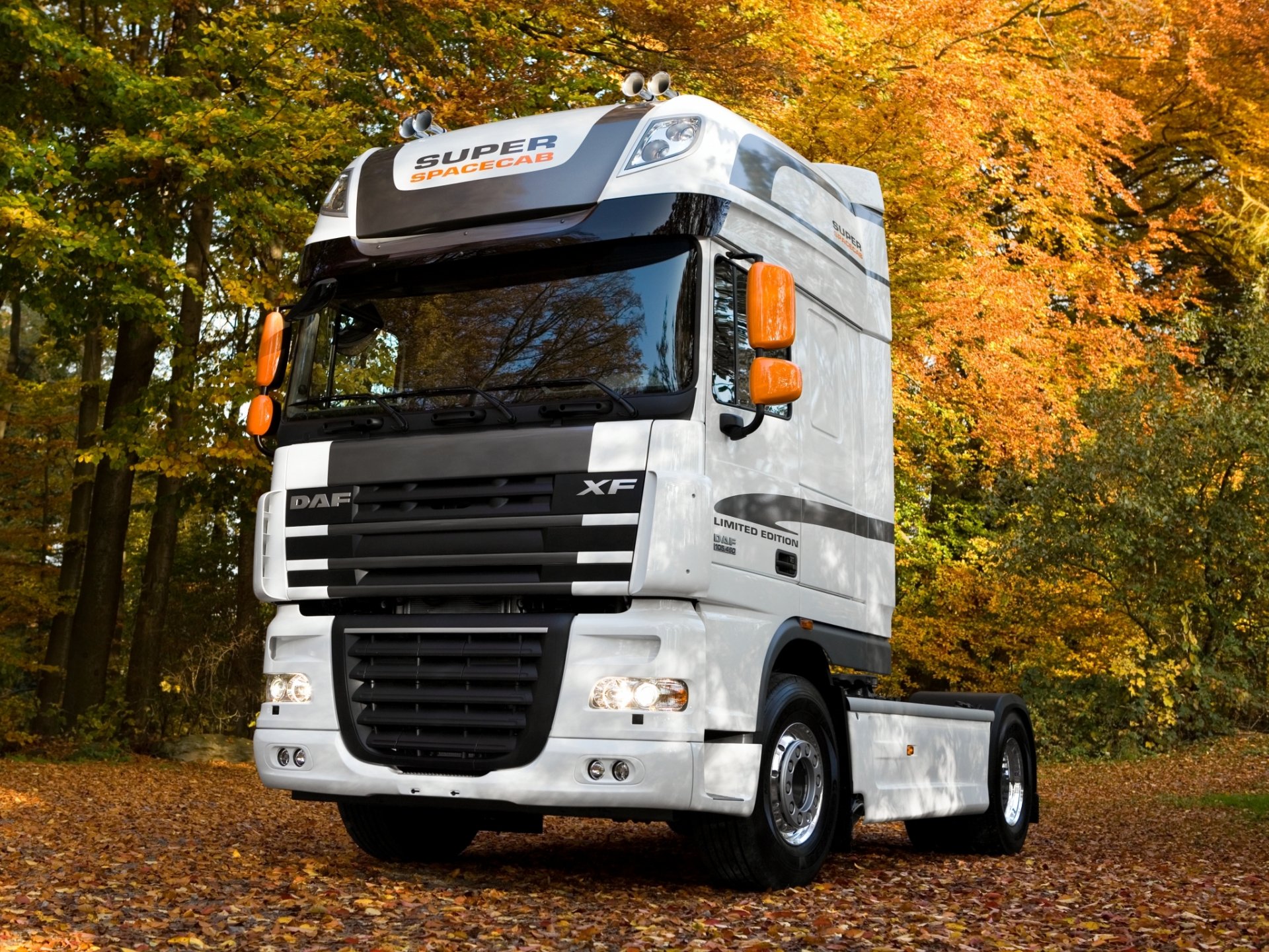 daf autunno foglie xf