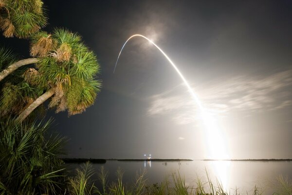 Palmen in der Nacht am Meer, von einer Laserlinie beleuchtet