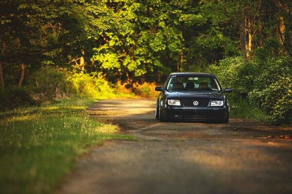 Volkswagen negro en el bosque en el camino