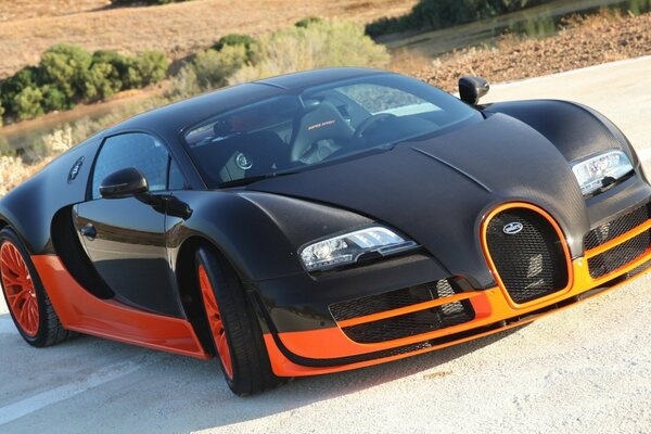 Bugatti migliore combinazione di colori per carta da parati