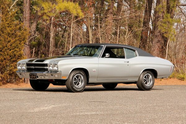 Chevrolet Coupé Seitenansicht auf Herbst Bäume Hintergrund