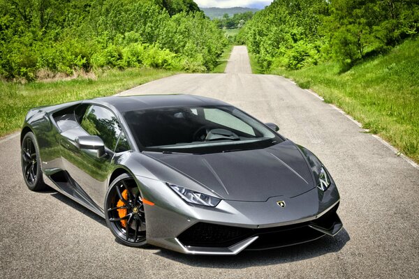 Lamborghini huracan argenté 2014