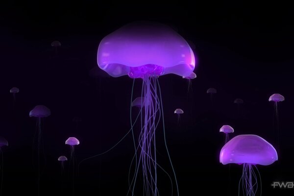 Lilac waterfowl jellyfish under water