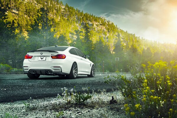 Blanco bmw M4 carrocería F82 coupé en el fondo del bosque