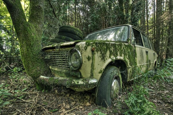 Vecchia macchina russa dimenticata nella foresta