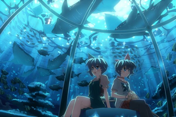 Две девушки аниме наблюдают за рыбами в аквариуме