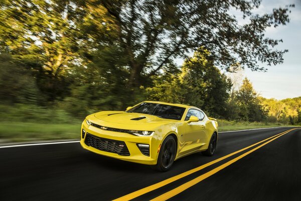 Chevrolet Camaro car in a yellow color on a country road