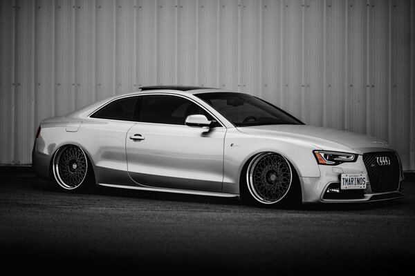 Gris audi S5 semble chic sur fond gris