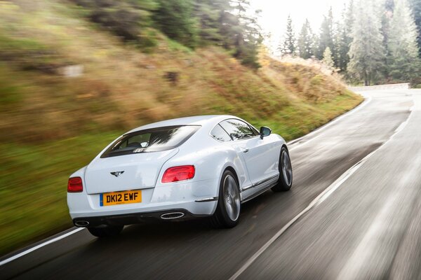 Weißer Bentley in Bewegung mit hoher Geschwindigkeit im Wald