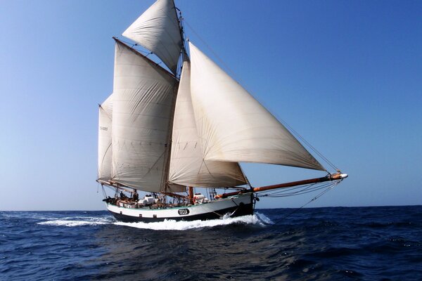 Dans la mer bleue ouverte se trouve un yacht