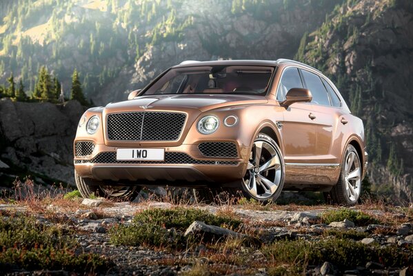 El superdeportivo Bentley de color marrón