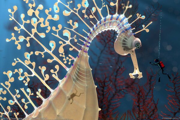 Seahorse and his adventures in the underwater world