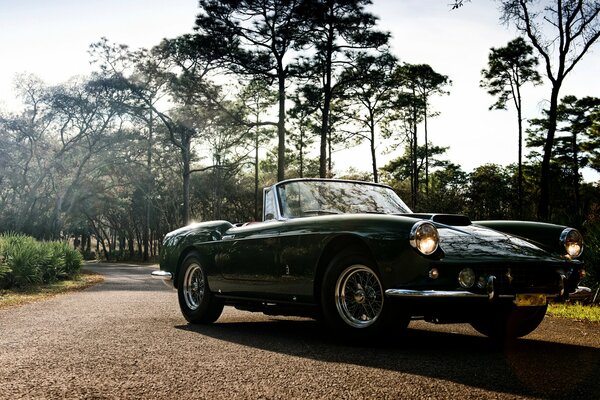 Hermoso convertible negro en la naturaleza