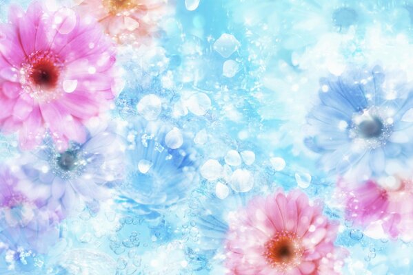 Collage of pink flowers on a blue background