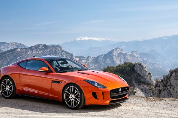 Orange jaguar on the background of mountains