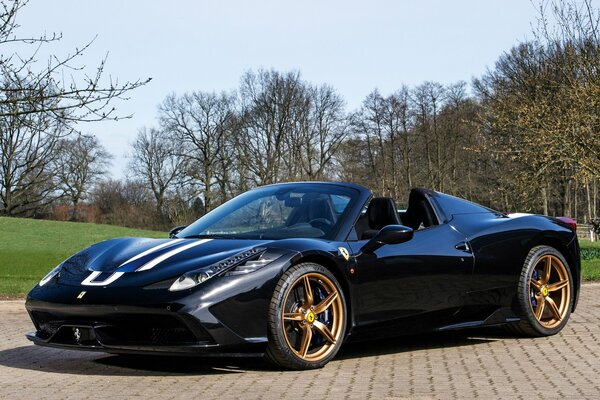 Blue Ferrari on the background of a green lawn park 