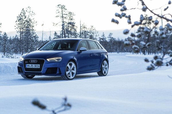 Comme un cadeau de Noël dans la neige audi rs3 en bleu métallique