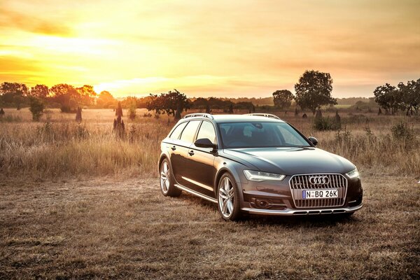 2015 black Audi at sunset in savannah