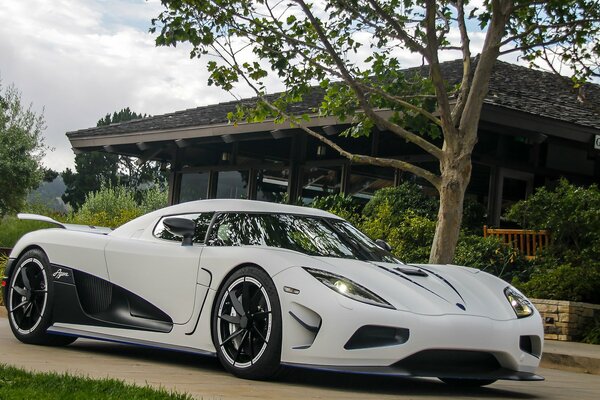 Koenigsegg agera blanco en el patio