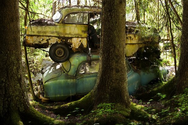 Kaputte Autos im Wald in Kunstwerk verwandelt