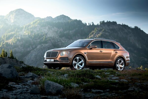 Ein brauner Bentley steht auf einem Berg