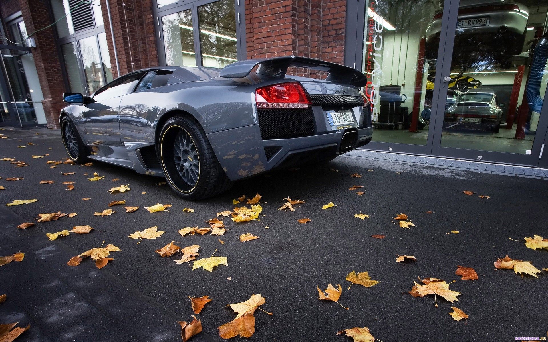 lamborghini murcielago hojas