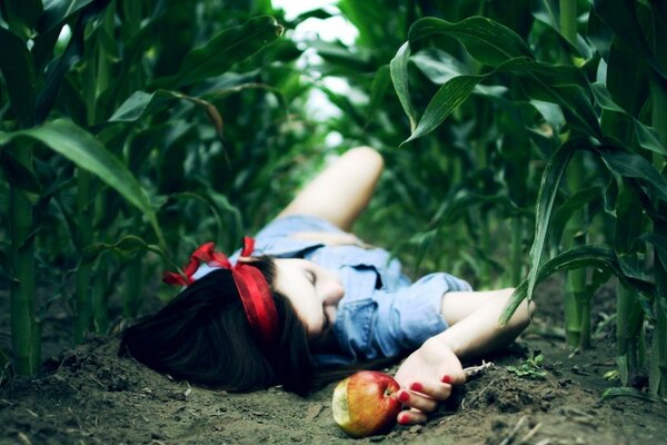 Snow White in the cornfield