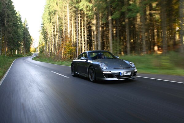 The movement of a Porsche on a forest road