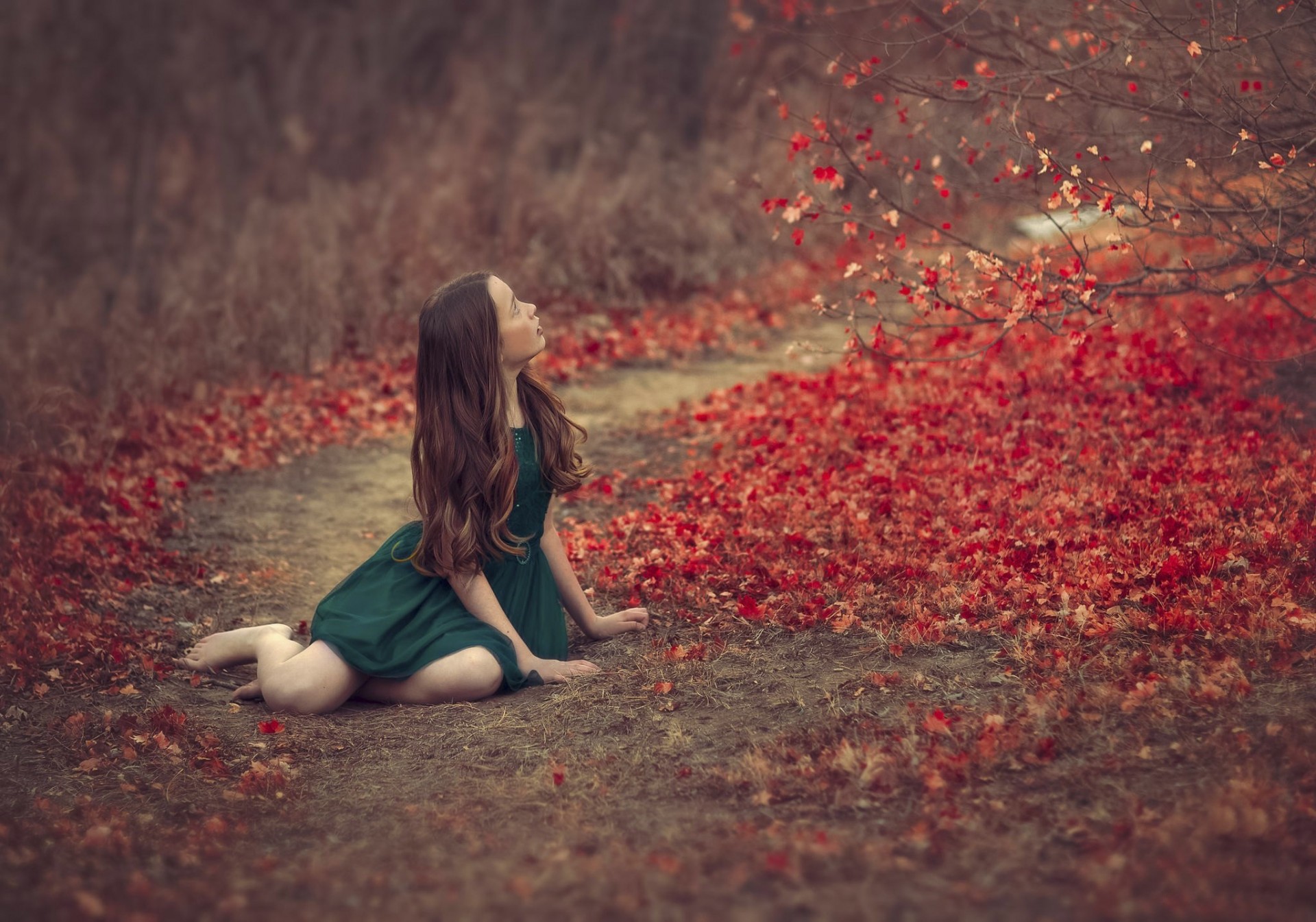 green dress autumn bokeh sheet girl