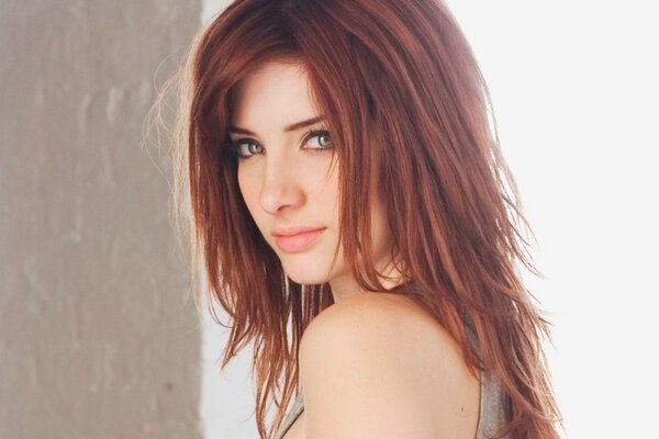 Retrato de la sexy morena Susan Coffey