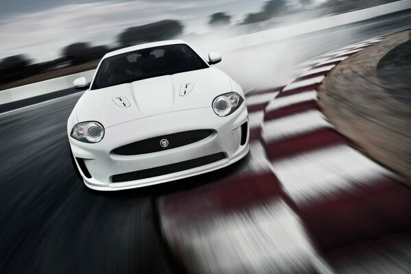Weißer Jaguar hcr mit Sonderausgaben der Geschwindigkeit
