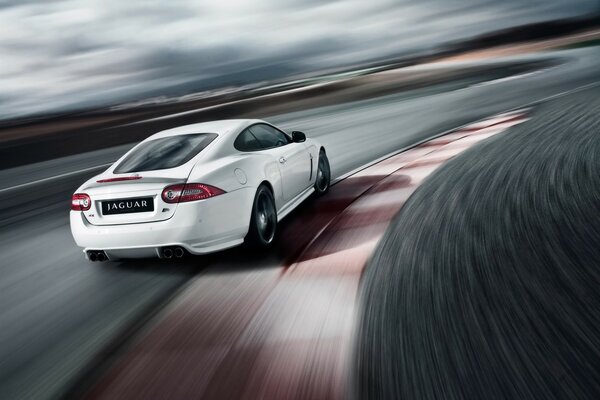 White Jaguar XKR special editions of speed