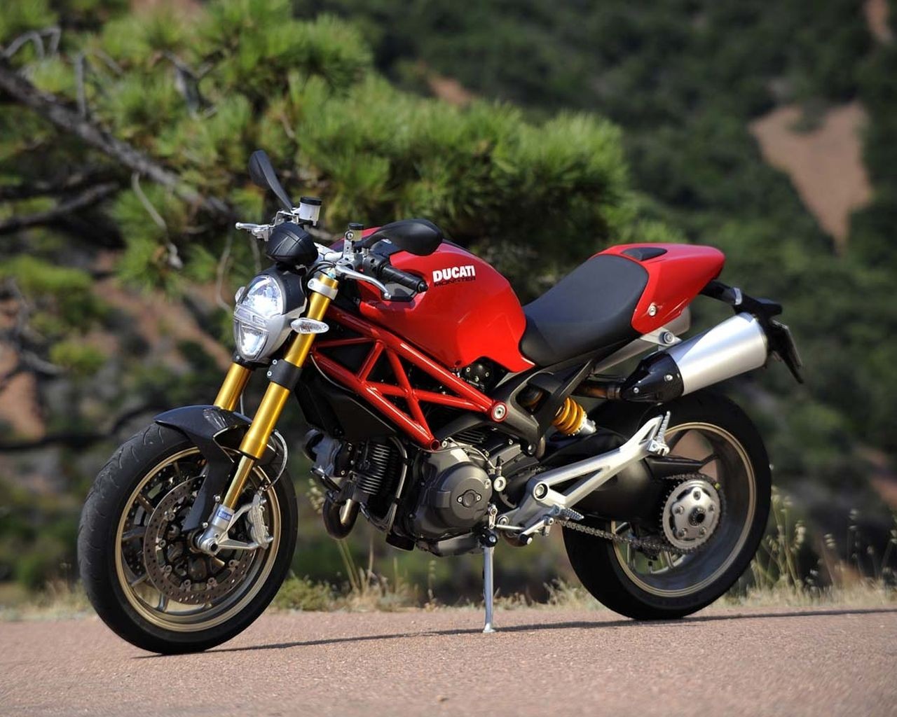 rouge ducati nature