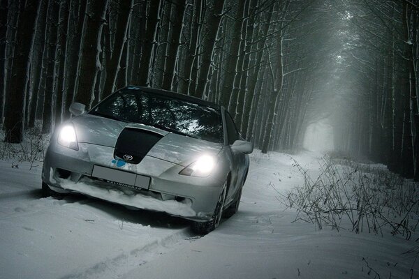 Белая Тойота на фоне снежного леса