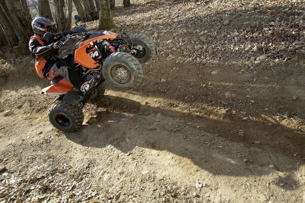 A motorcyclist performs a stunt on an all-terrain vehicle, standing on the rear wheels