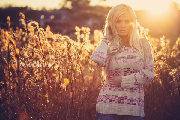 Beautiful girl in a golden field