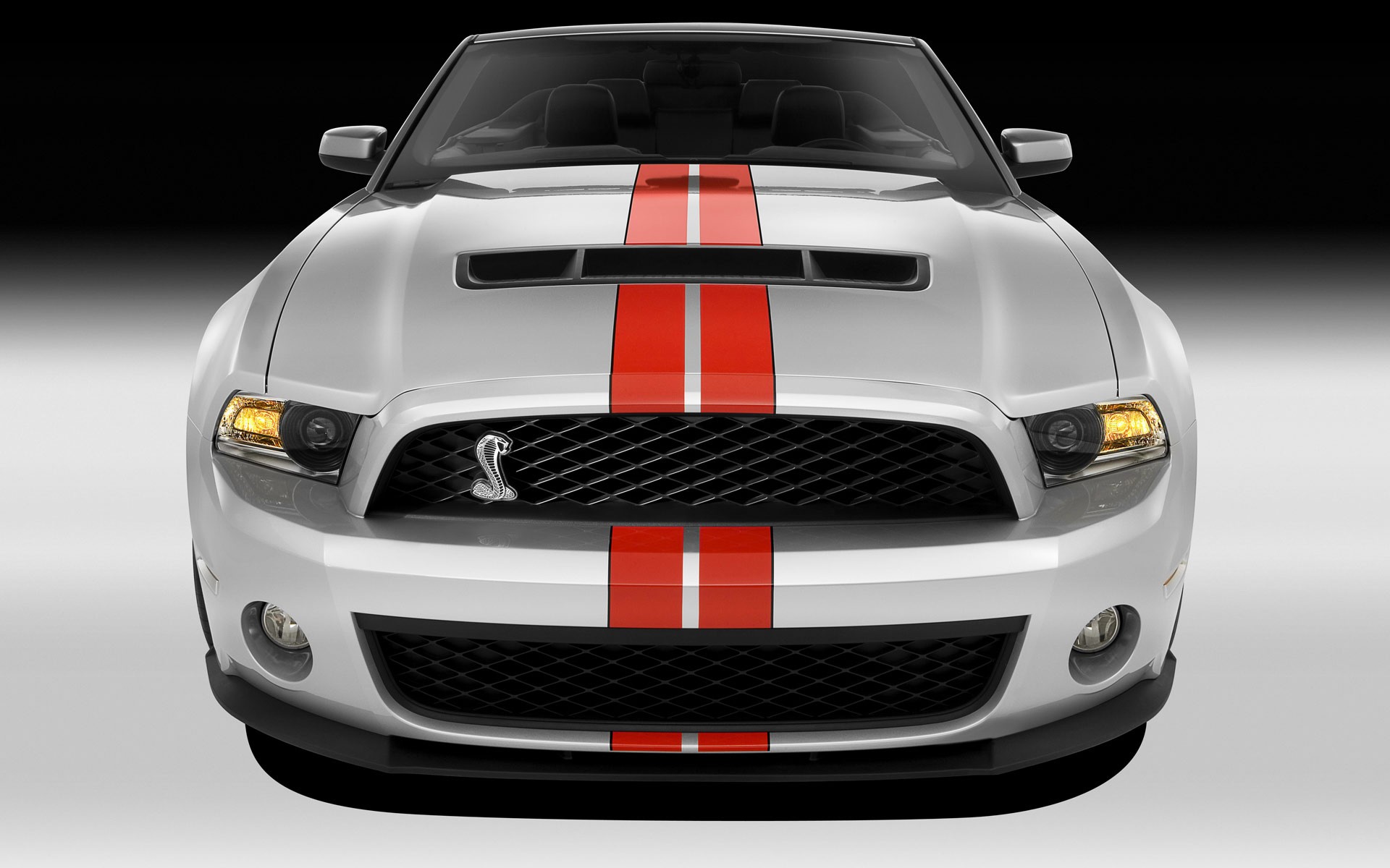 shelby gt500 bianco strisce rosse