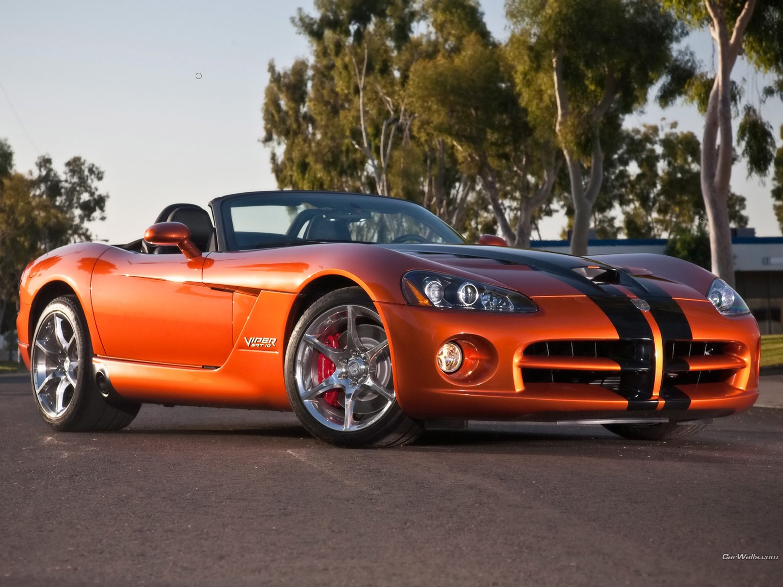 Dodge viper dodge