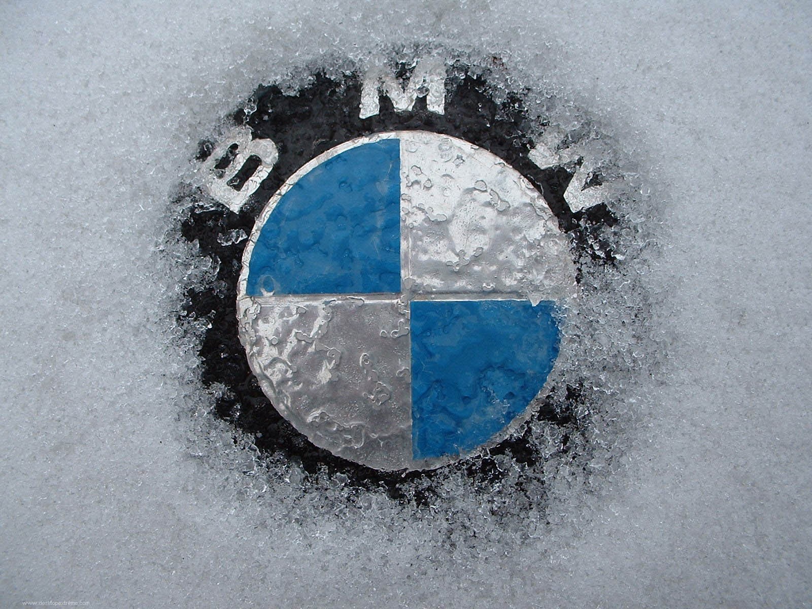 bmw значок снег