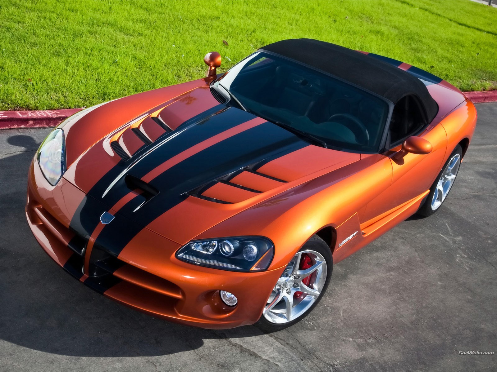 dodge viper dodge