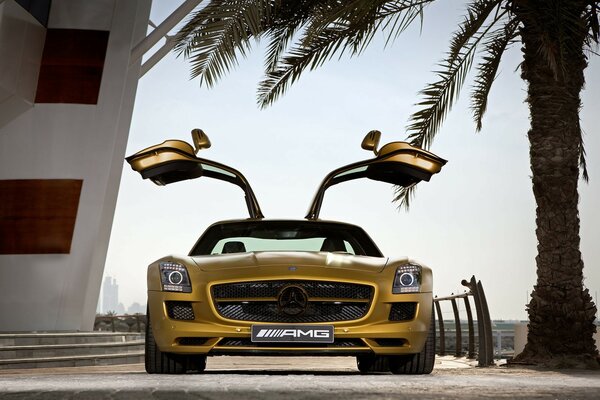 Goldenes Auto mit offenen Türen nach oben, vor dem Hintergrund einer Palme 