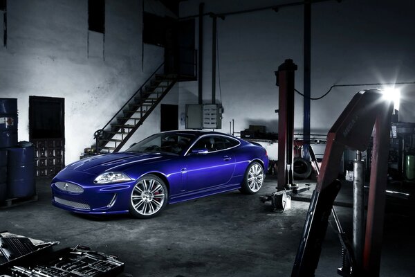 Artistic shooting of a blue jaguar in the garage