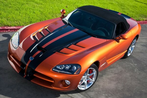 Elegante Dodge a rayas con forma de serpiente 