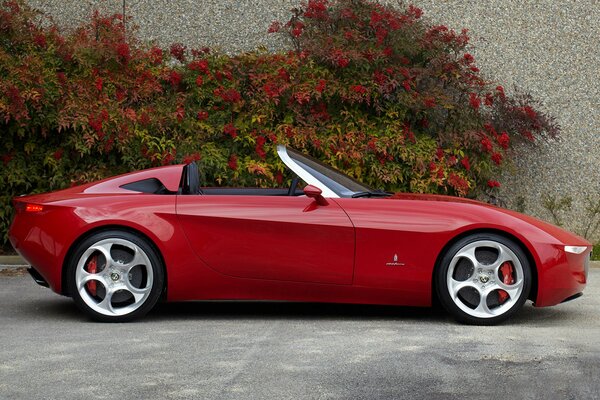 Alfa, red Romeo, 2010