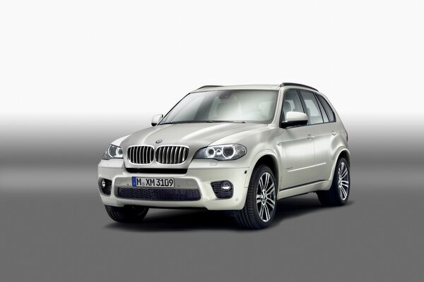 Coche de la marca bmw serie x5-m