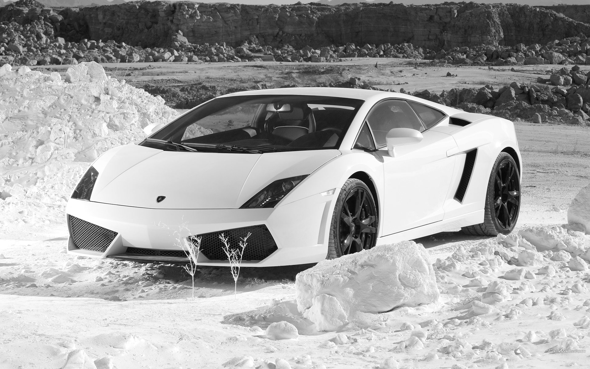 lamborghini śnieg samochody gallardo