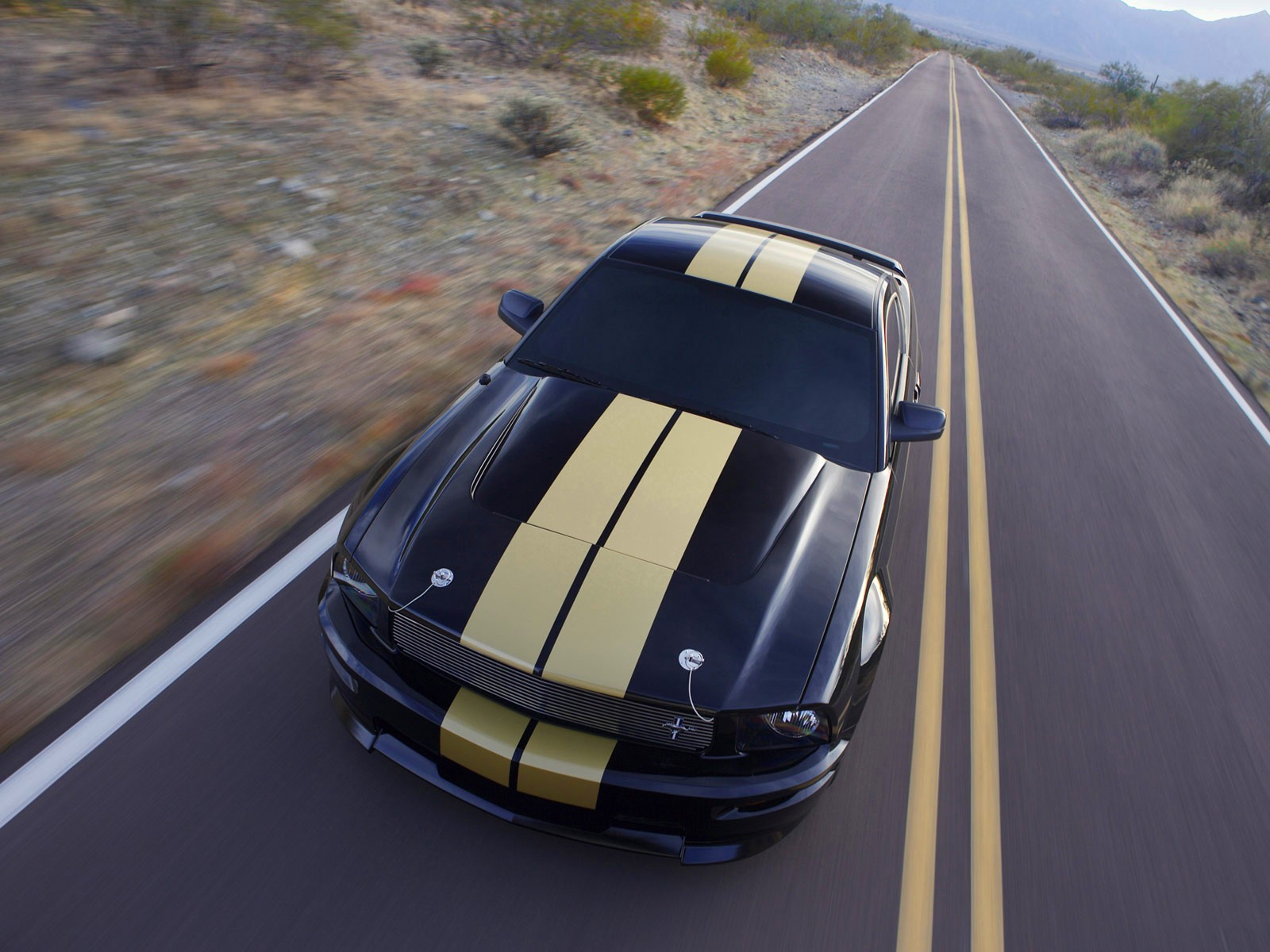 ford mustang strisce strada