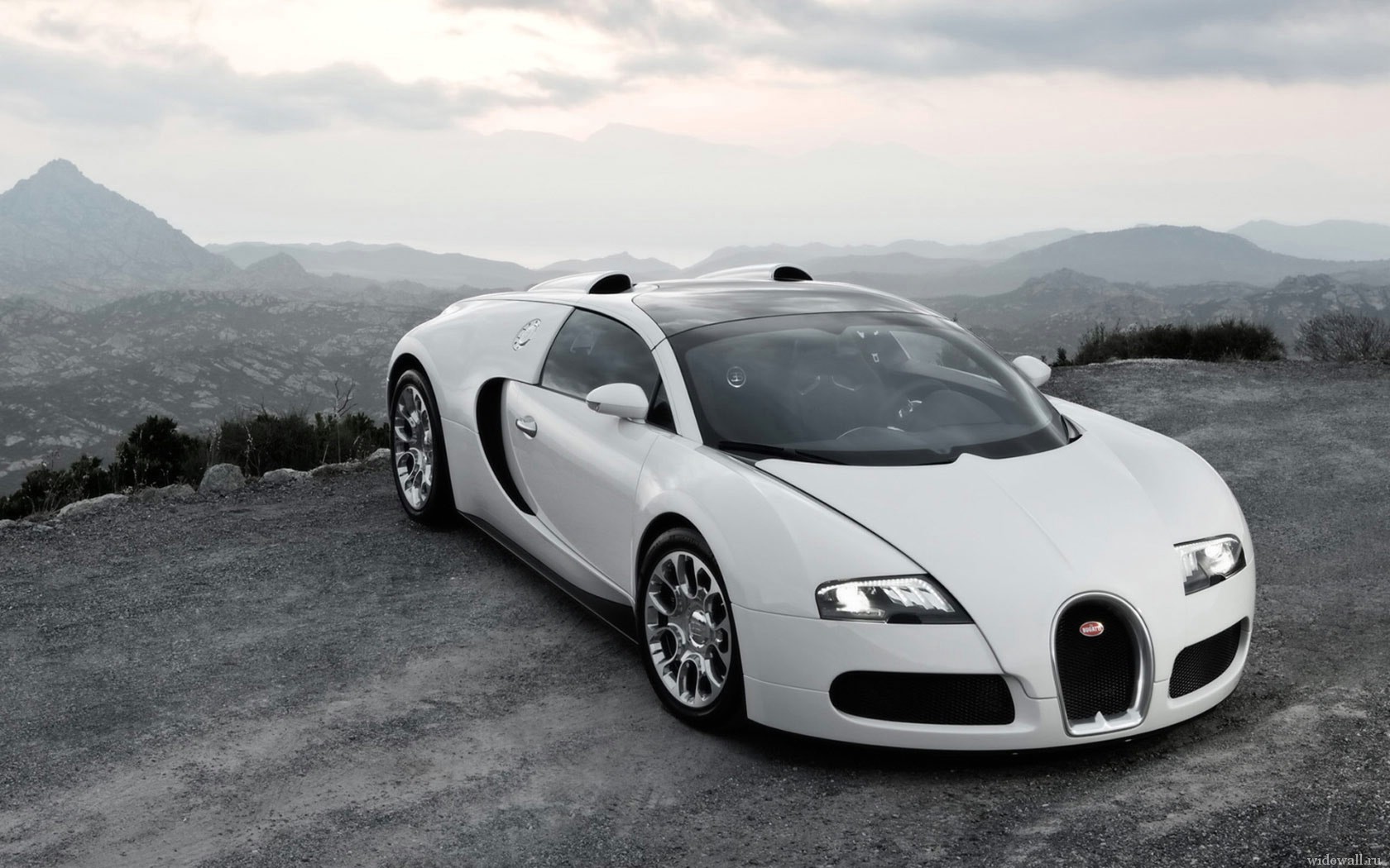 bugatti veyron sur fond de nature