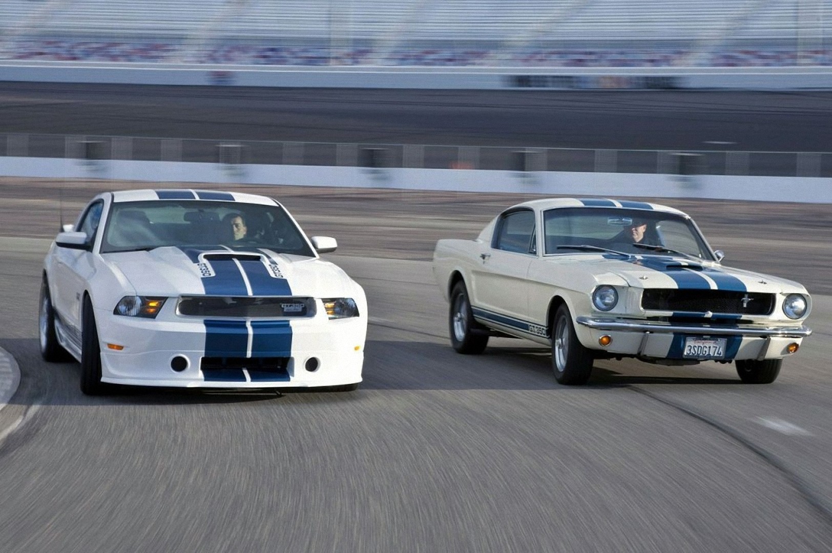 shelby ford mustang gt350-2